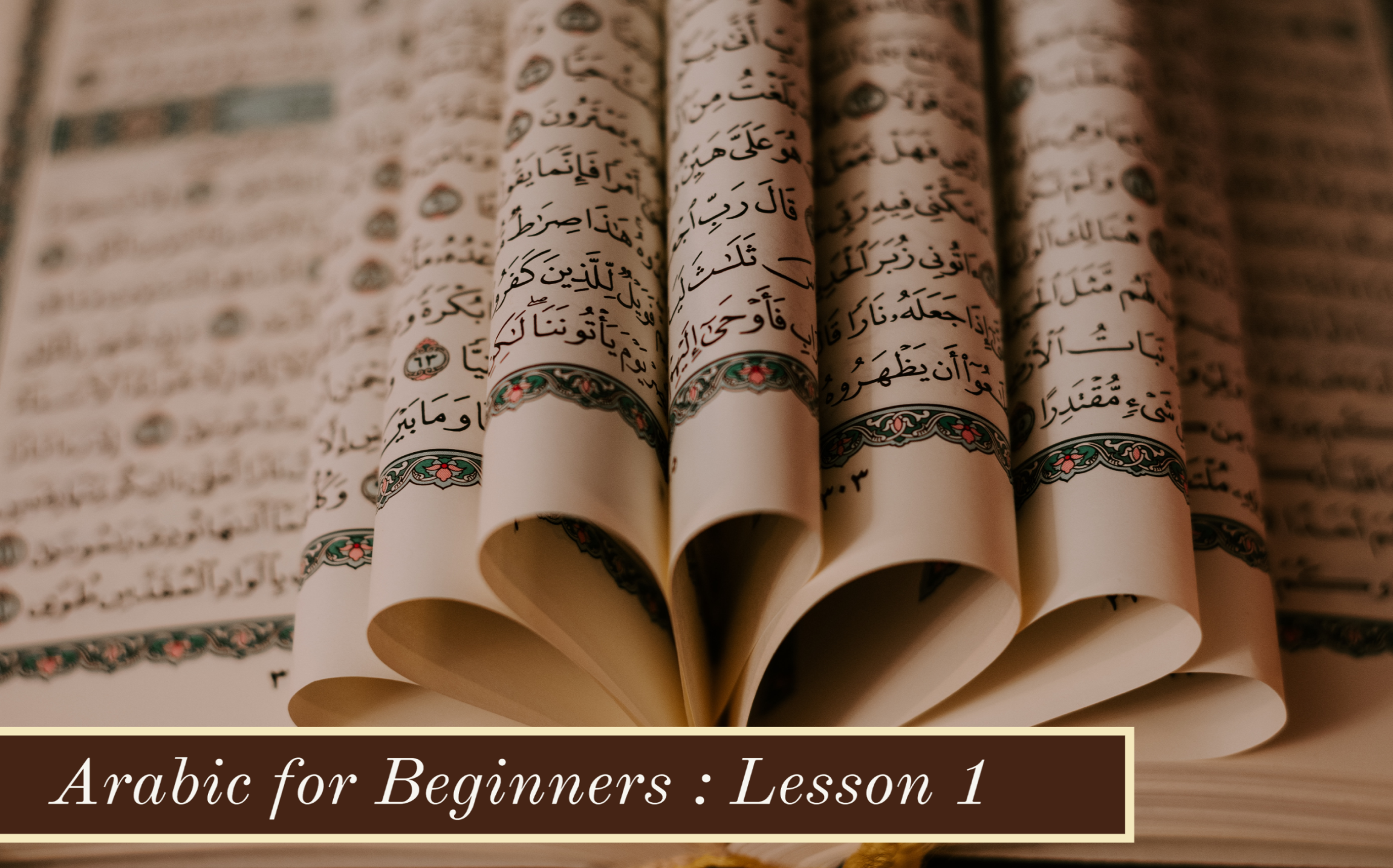 Arabic for Beginners- Lesson 1:  Use of What, This and That in Arabic Phrases/Sentence 27503